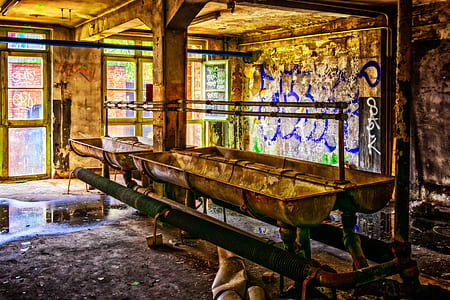 pet feeder and waterer in house with graffiti wall art thumbnail