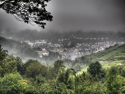 houses surrounded with trees thumbnail