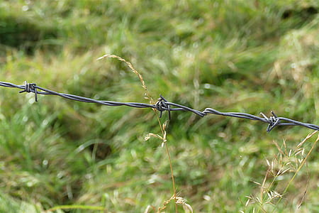 gray barbwire thumbnail