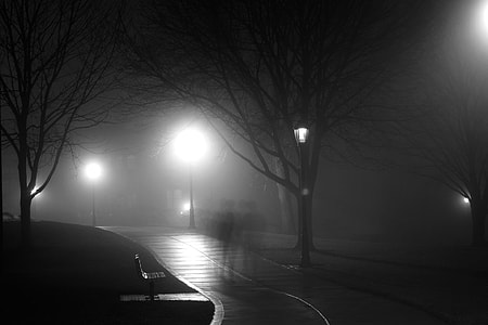 grayscale photo of pathway thumbnail