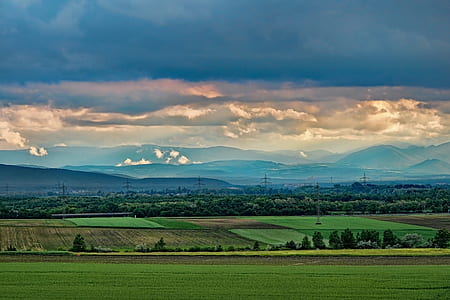 landscape photogray of green grasses and leafed trees under cloudy sky during daytime thumbnail