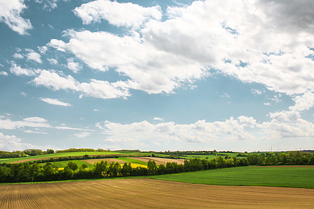 Another Scenery with Fields thumbnail