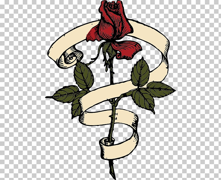 74 Rose Vines Drawings Png Cliparts For Free Download Uihere