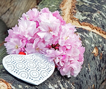 pink petaled flowers decor thumbnail