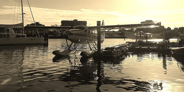 white bi-plane docked on port near white boat during daytime thumbnail