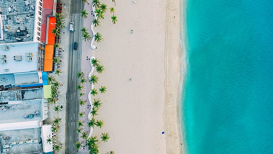 aerial photography of beach shore thumbnail