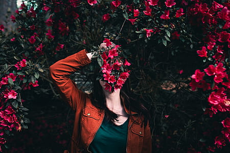 woman holding red petaled flowers thumbnail