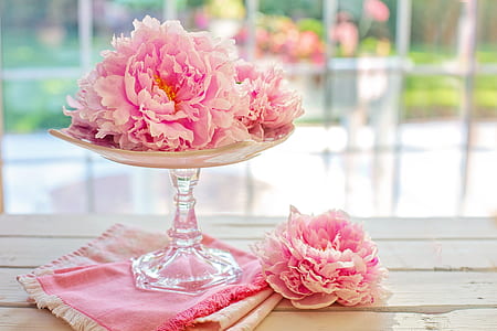 pink petaled flower decor on table thumbnail