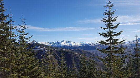 Washington State Mt St Helens thumbnail