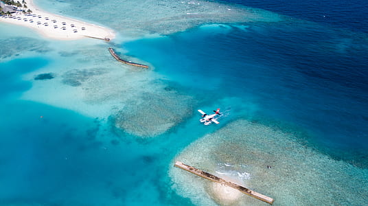 white plane on body of water during daytime thumbnail