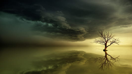 bare tree painting thumbnail