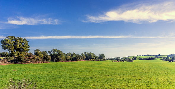 green field under clear blue sky thumbnail