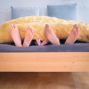three feet hiding on brown blanket thumbnail