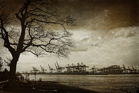 black-and-white, water, construction, cranes thumbnail
