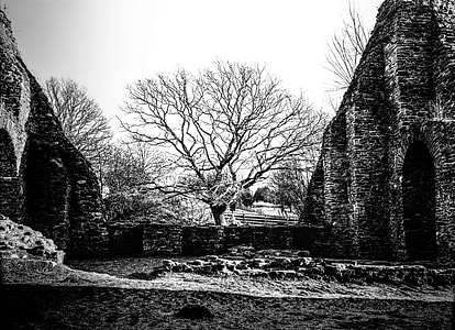 Burgruine Baldenau thumbnail