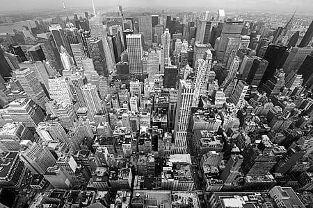 grayscale photo of city buildings thumbnail