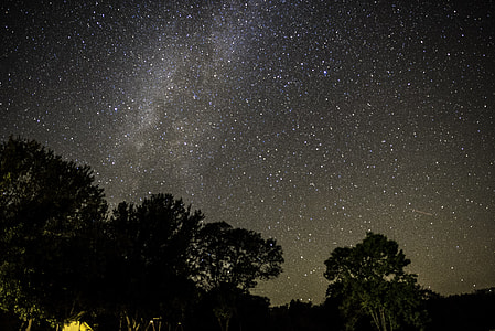 Stars and Milky Way above the trees at Blackhawk lake Recreation Area, Wisconsin thumbnail