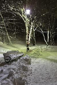 Christmas lights in a park thumbnail