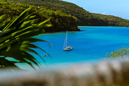 white boat on blue water near green tree-covered island thumbnail