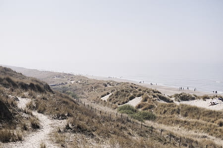 seashore during daytime thumbnail