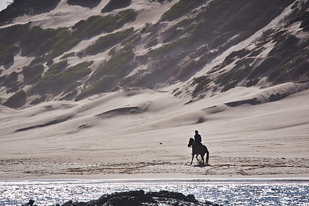 silhouette of man riding horse on beach thumbnail