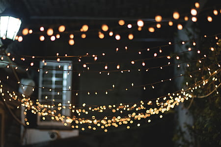 turned on string lights on garden thumbnail