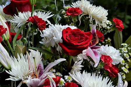 close-up photo of red rose and white petaled flowers bouquet thumbnail