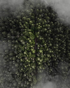 green textile thumbnail