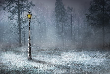 lamp post in forest thumbnail