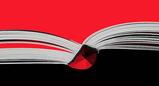 Close Up Photography of Book Opened thumbnail