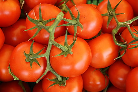 close up photography of red tomatoes thumbnail