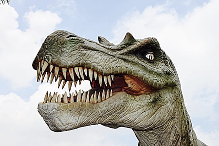gray dinosaur thumbnail