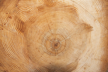 closeup photo of wood slab thumbnail