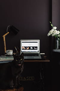 Contemporary home office idea with dark walls thumbnail