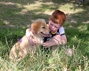 boy beside golden retriever puppy on green grass field thumbnail
