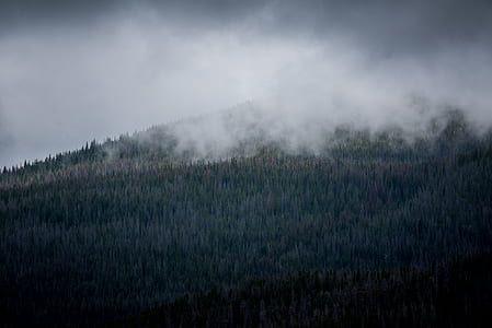 photo of mountain and trees with smoke at daytime thumbnail