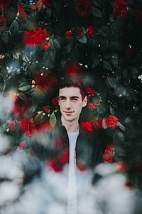 man standing beside red roses thumbnail