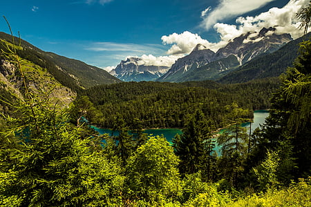 green trees near mountain and body of water thumbnail