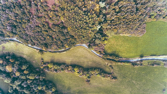top view of forest mountain thumbnail
