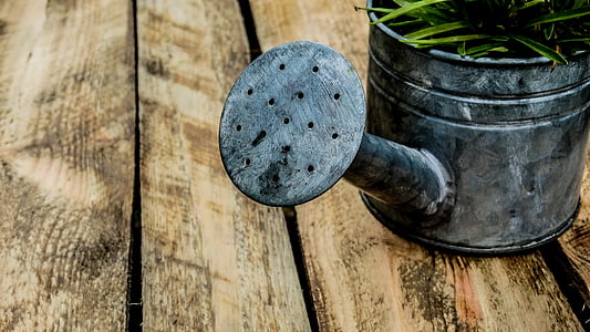stainless steel watering can on brown wooden surface thumbnail