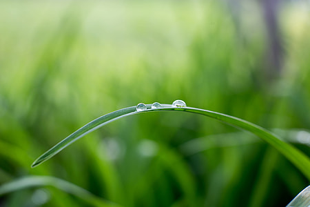 waterdrops thumbnail