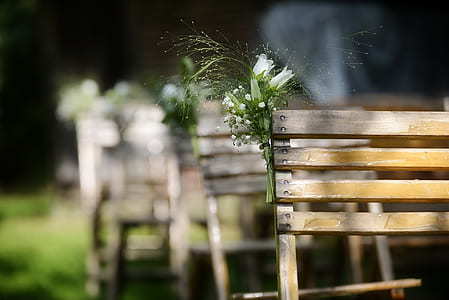 white flowers on wooden bench thumbnail