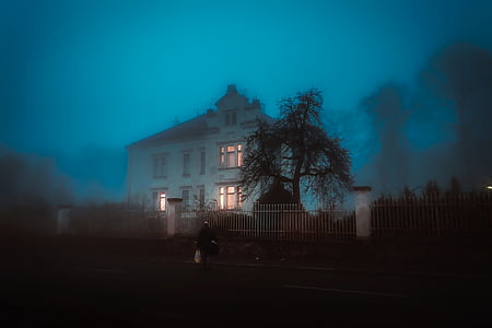 white and brown house covered with fo beside tree thumbnail