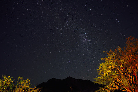 two trees near mountain in starry night thumbnail