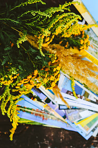 Yellow flowers with miscellaneous items on wooden floor thumbnail