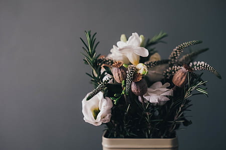 shallow focus photography of flowers thumbnail