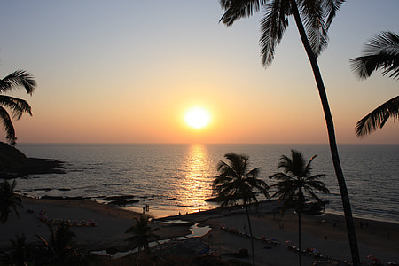 silhouette of coconut trees near ocean water during golden hour thumbnail