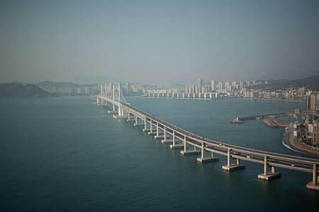 concrete bridge beside cityscape thumbnail