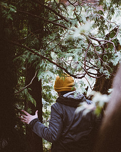 man wearing black hooded jacket and yellow knit cap walking under green leaf trees during daytime thumbnail