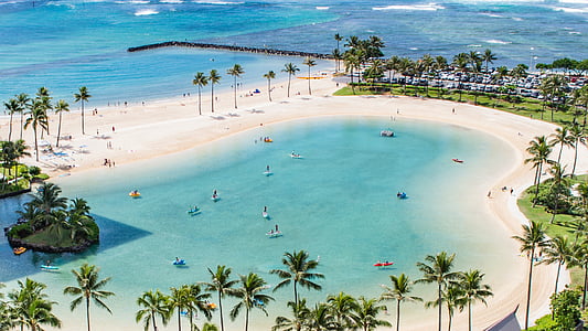 landscape photography of beach surrounded by coconut tree thumbnail